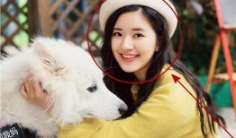 赵露思直播 社会热点事件视频 社会热点插画,插画再现事件瞬间