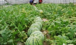 热门大瓜 不干了,不干了，真相背后竟如此惊人！